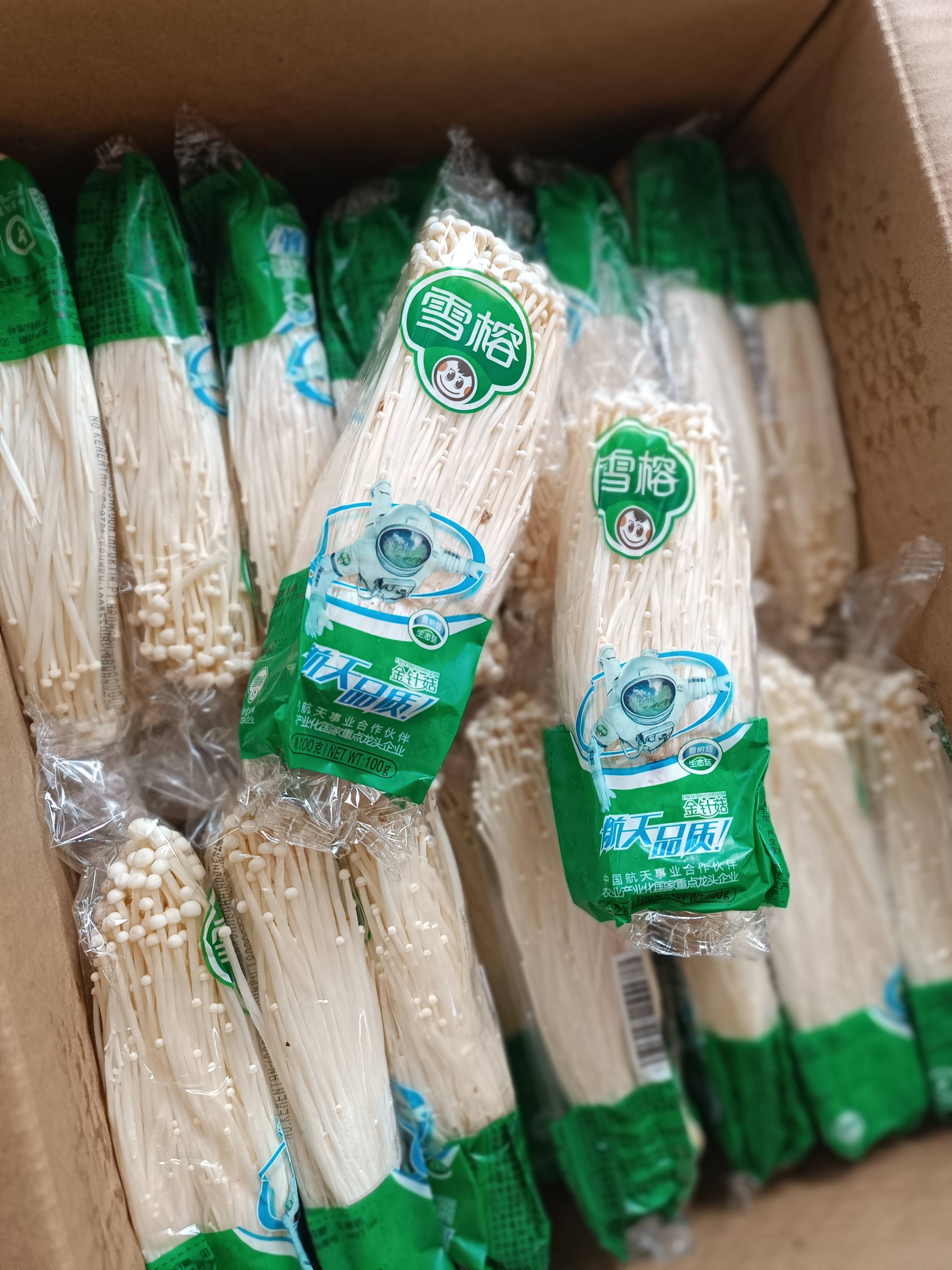 Jamur Enoki